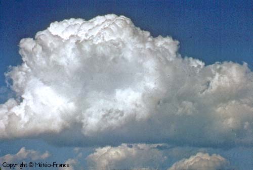 Cumulus1.jpg